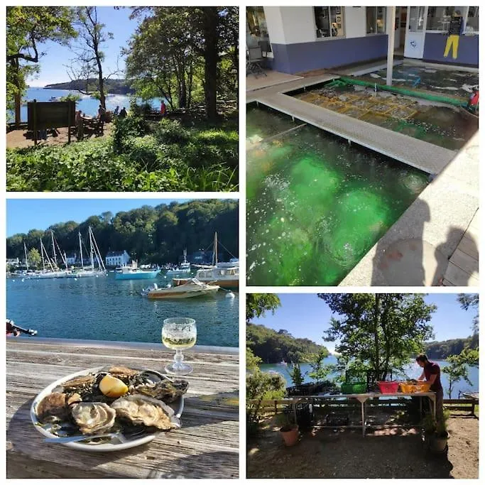 Chalet Finistere-Sud Avec Piscine Chauffee Pont-l'Abbe